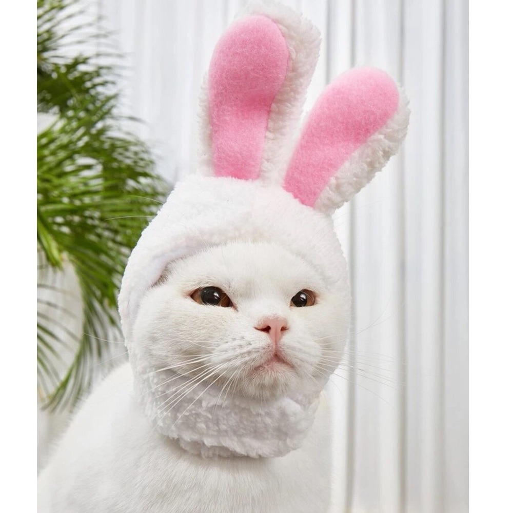 Bunny Ears Plush Pet Hat 🐈